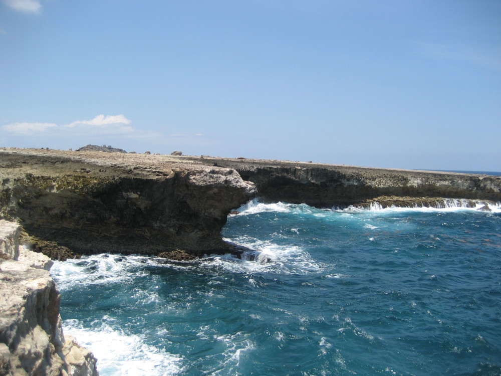 Bonaire (159)