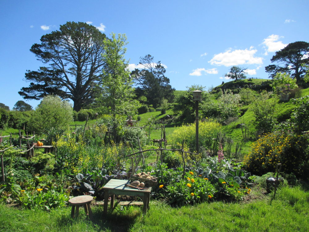 Hobbiton7