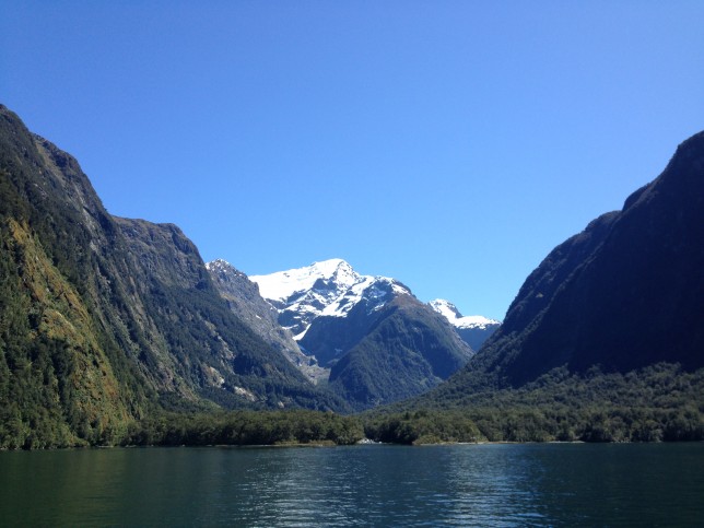 A scenic cruise on Milford Sound, NZ.
