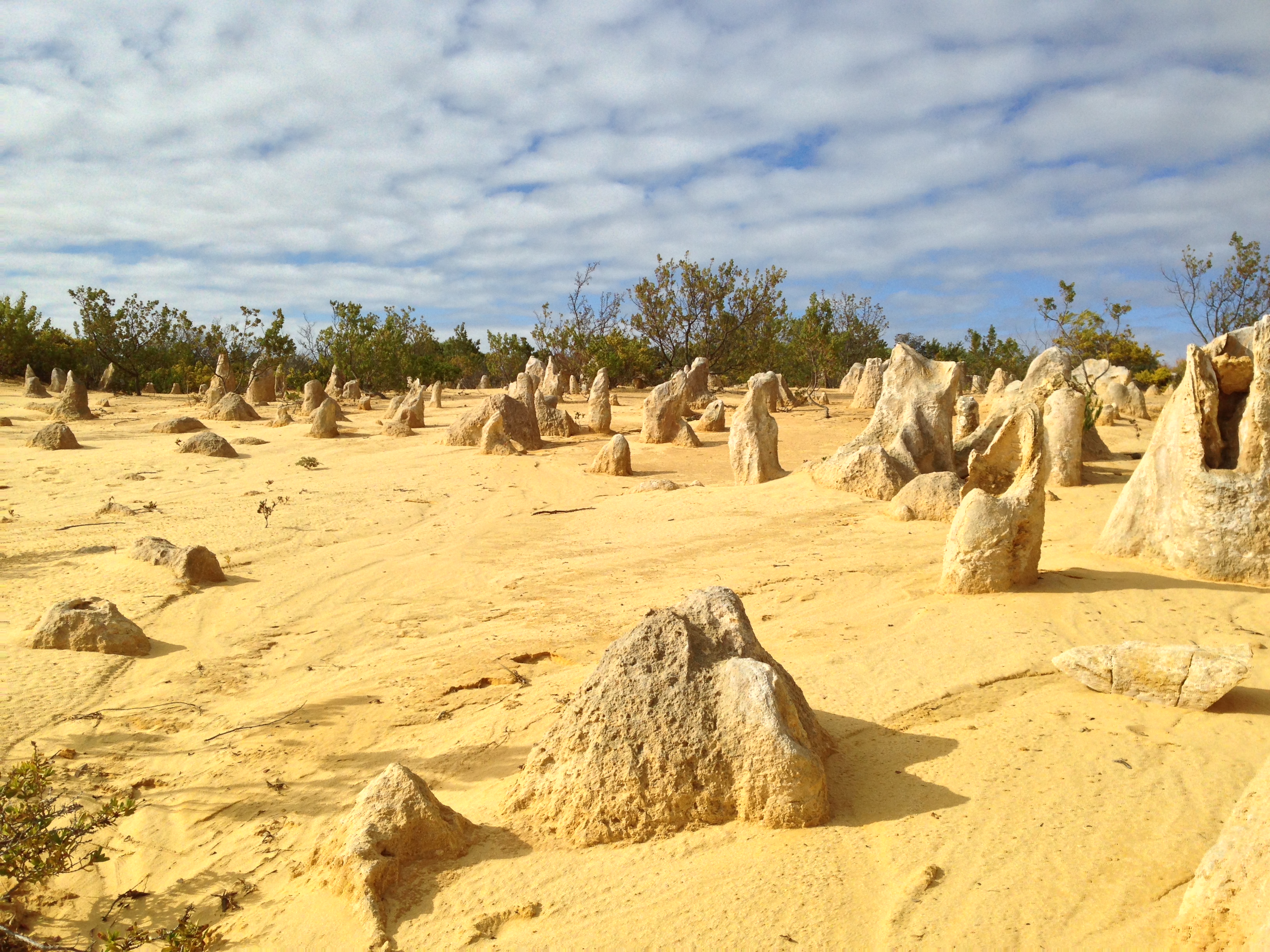 Pinnacles5