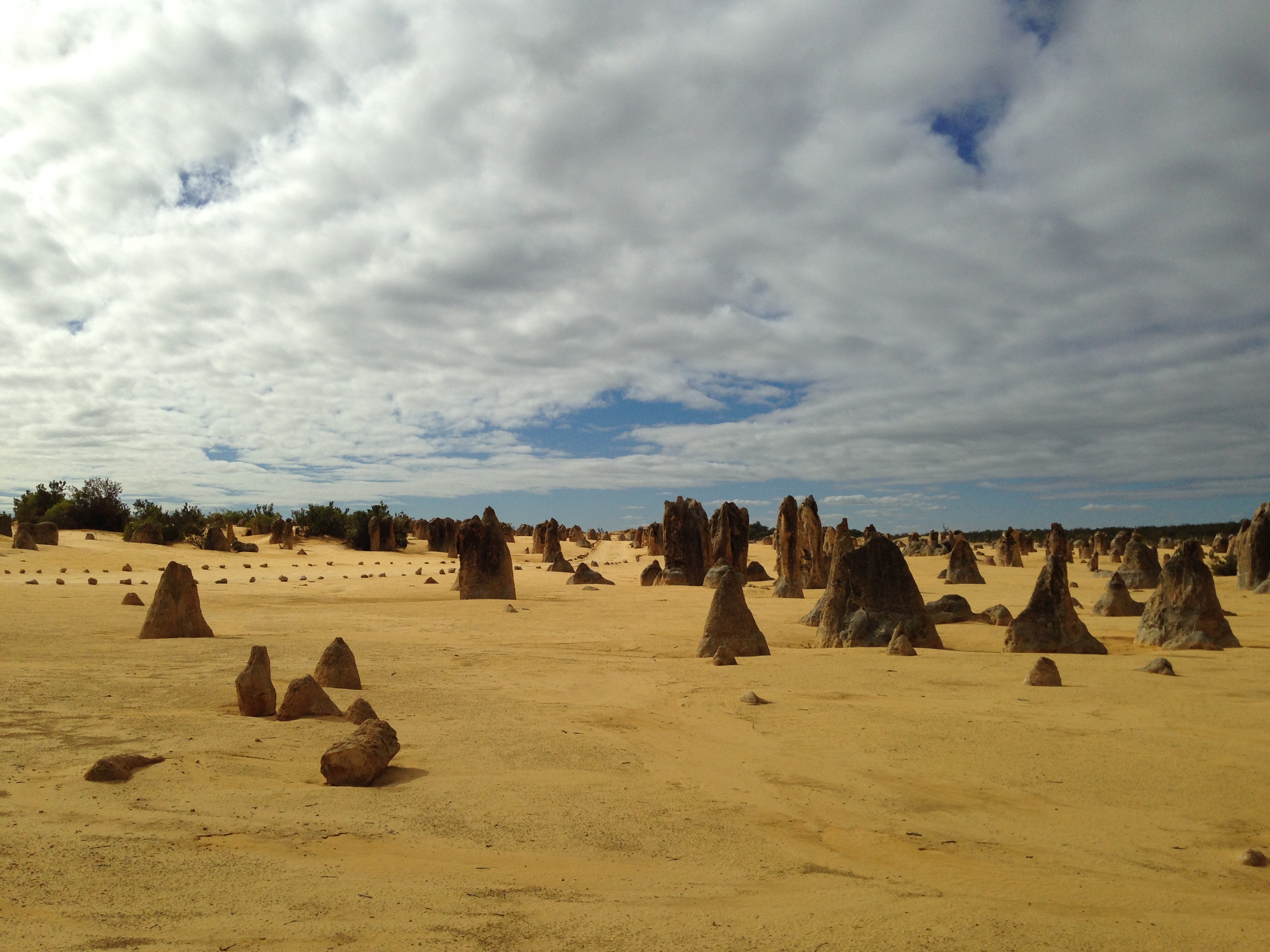 Pinnacles8