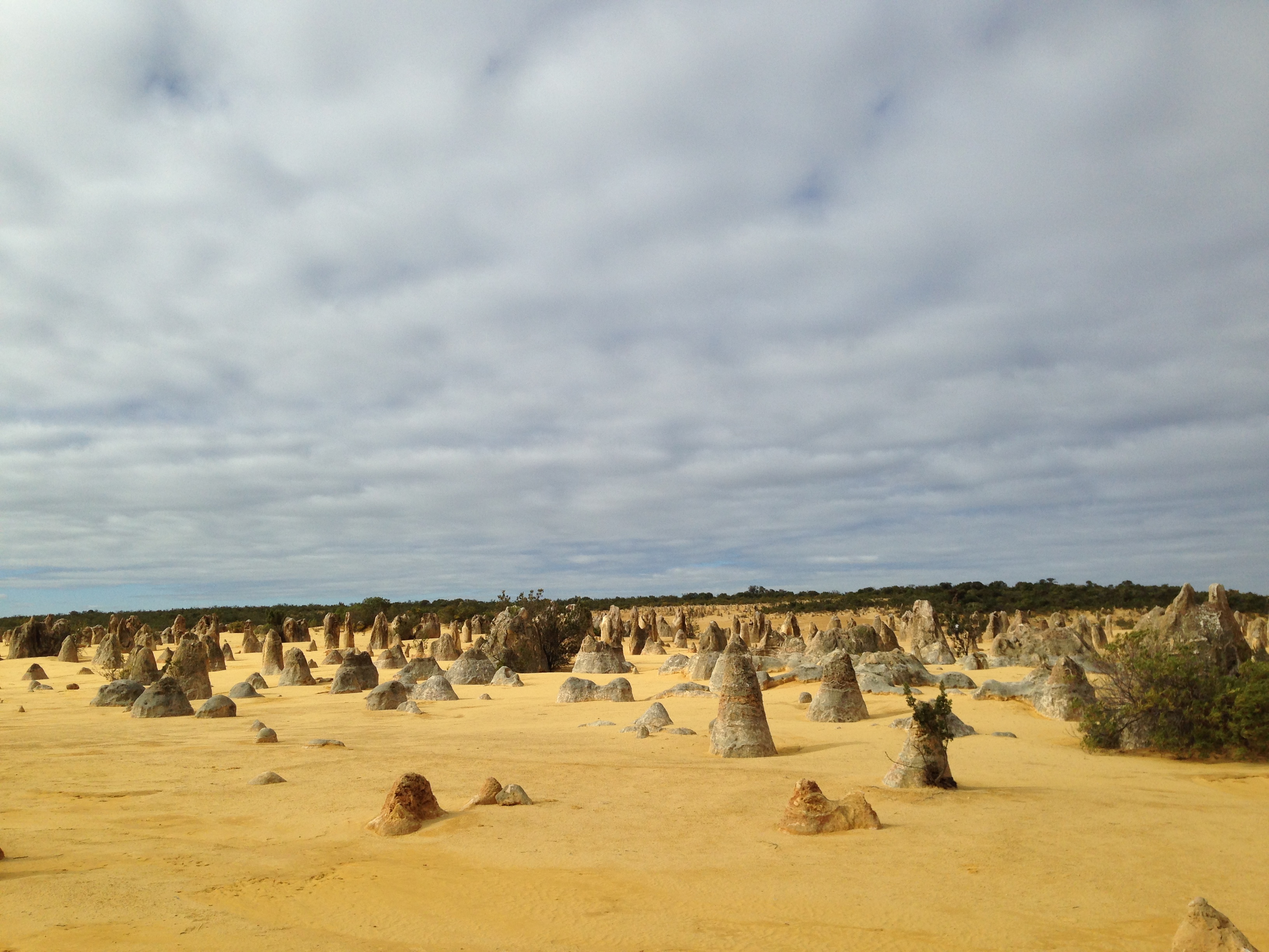 Pinnacles9