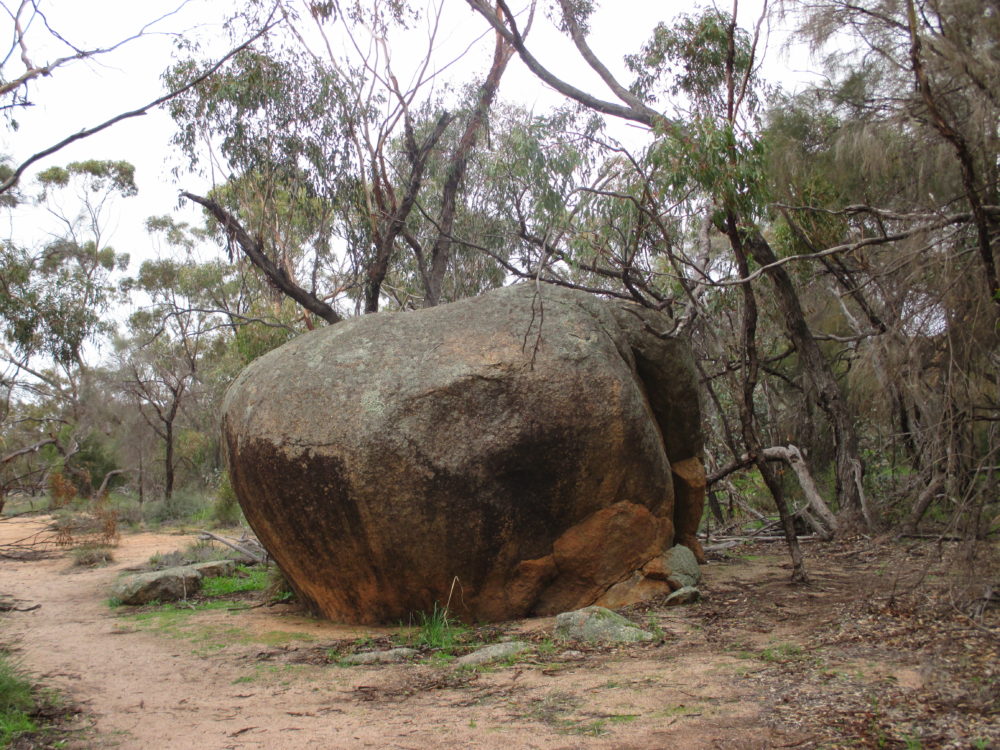 Elephant Rock Australia