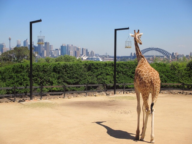 Taronga Zoo