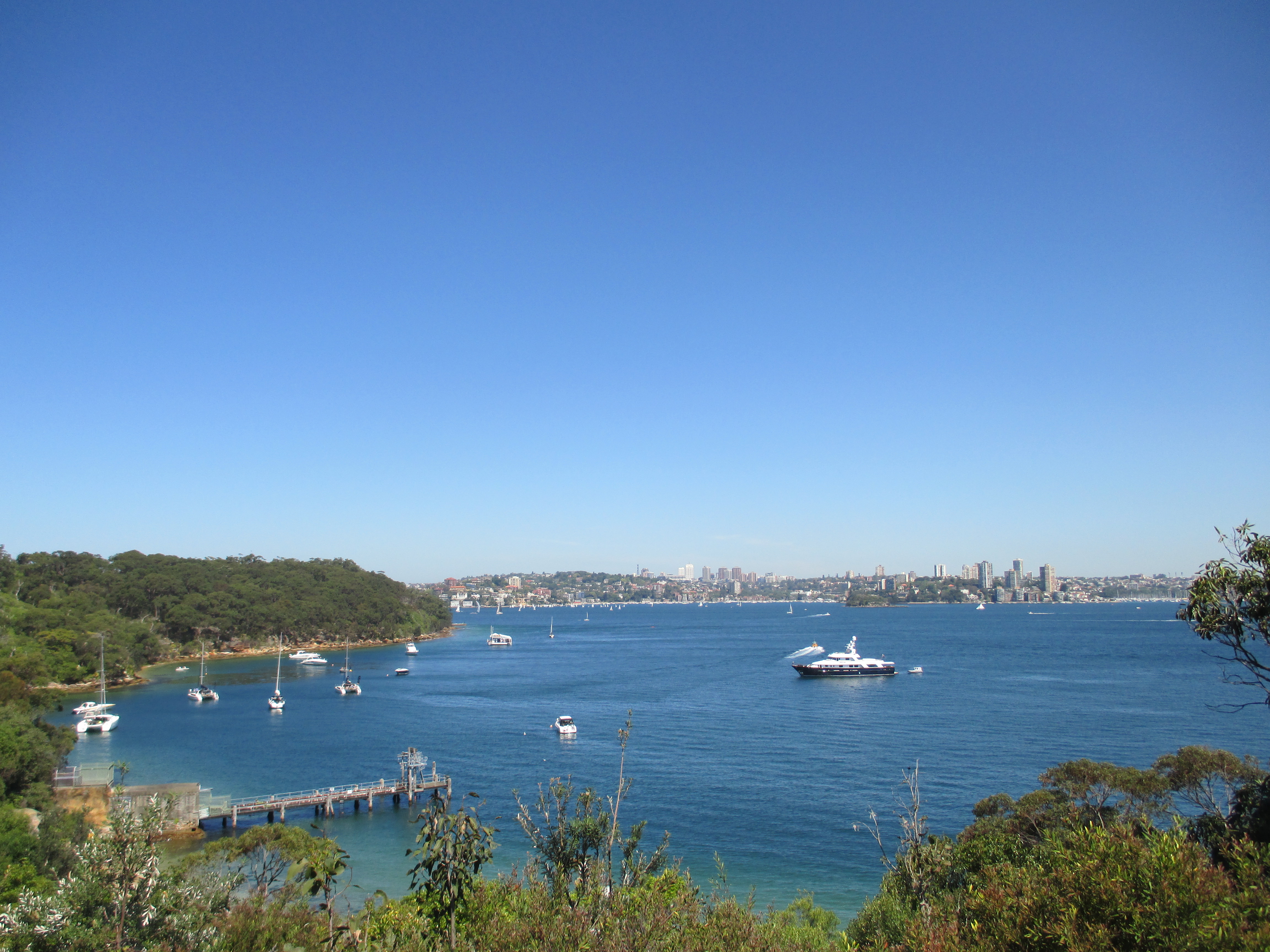 Taronga15