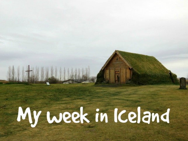 my week in iceland