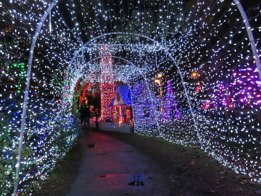 Where to go see Christmas lights, Vancouver Magnificent Escape