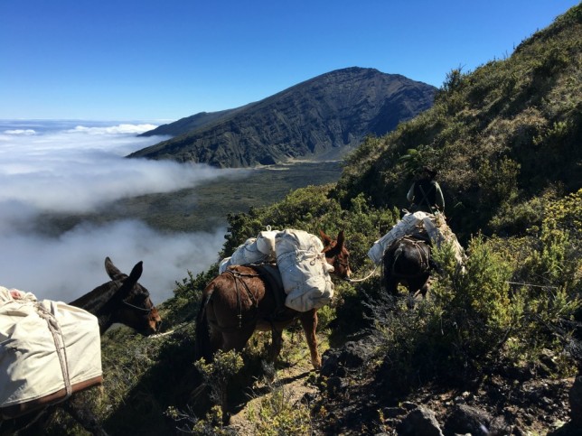 Haleakala9