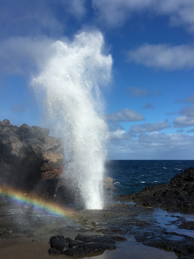 Blowhole