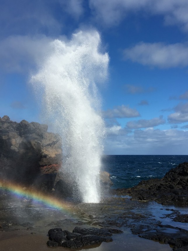 Blowhole