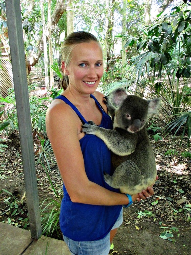 Koala sanctuary 