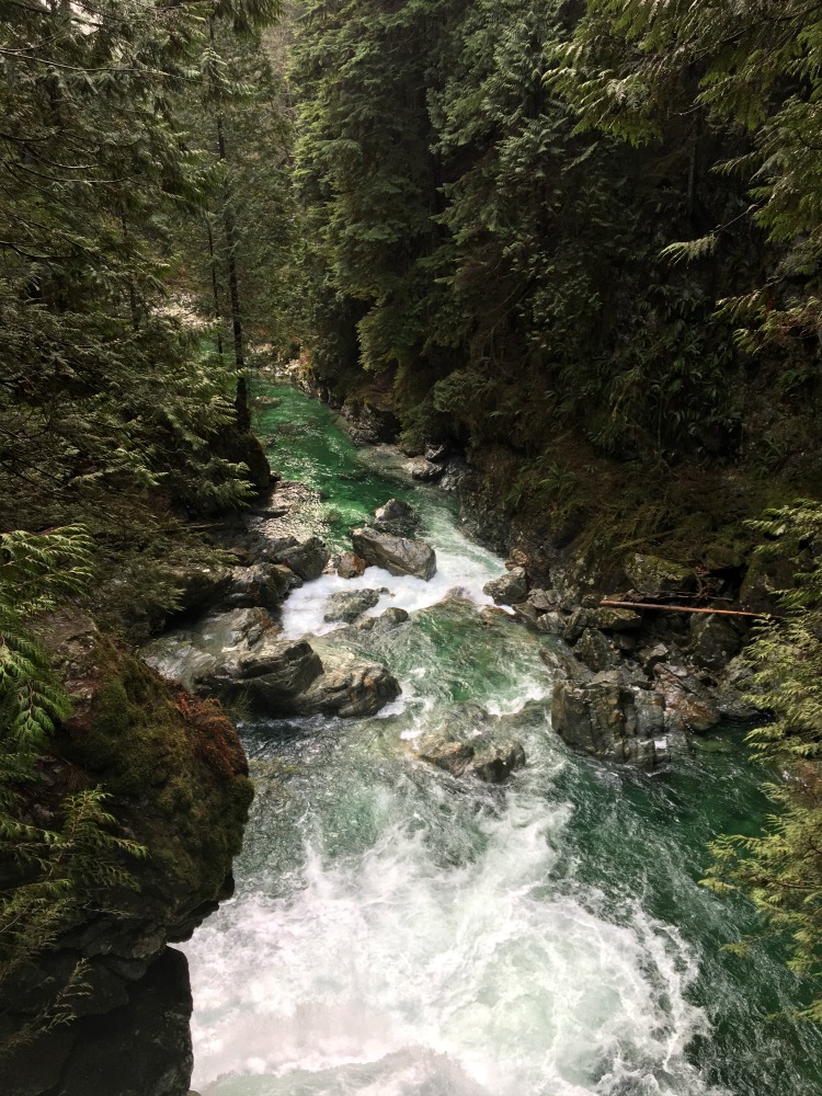 Lynn canyon 5