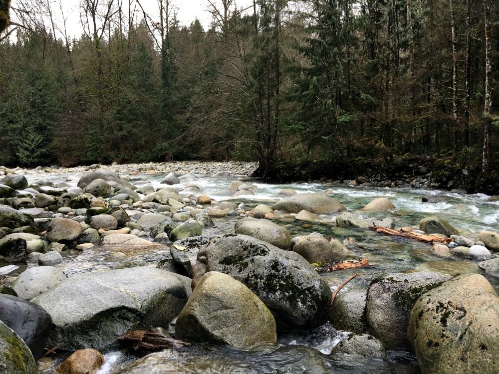 Lynn canyon 7