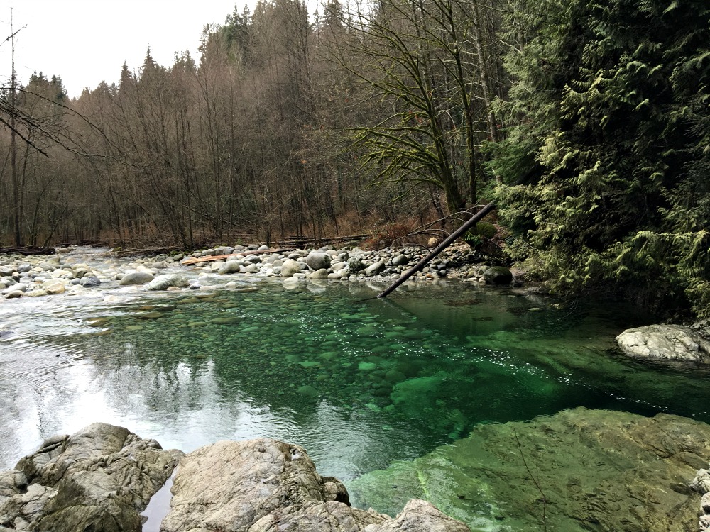 Lynn canyon 8