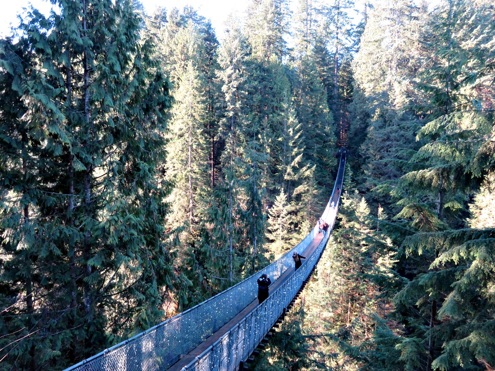 Capilano Suspension Bridge vs Lynn Canyon Park