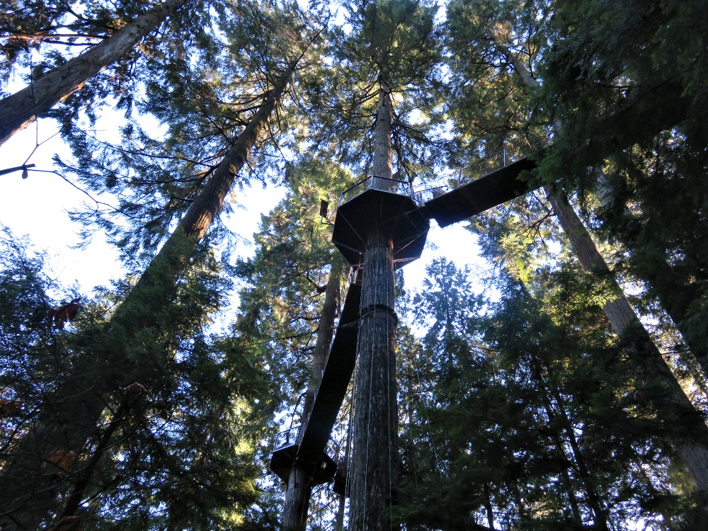 capilano 4