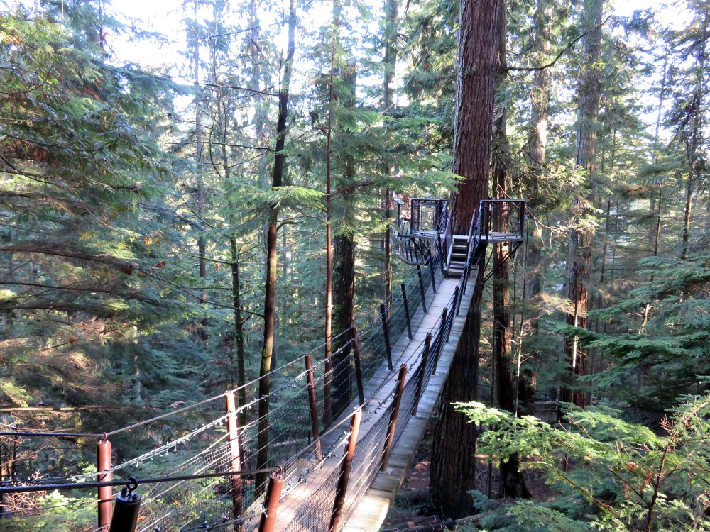 capilano 5