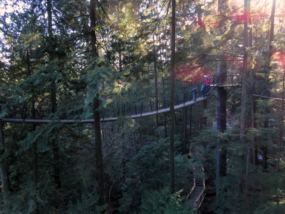 capilano 6