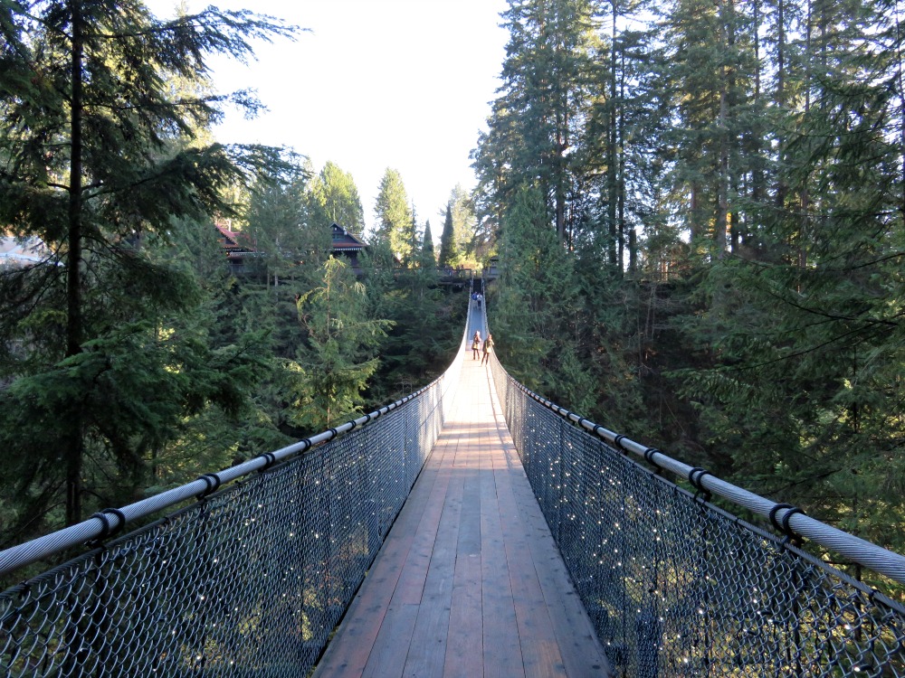 Capilano Suspension Bridge vs Lynn Canyon Park