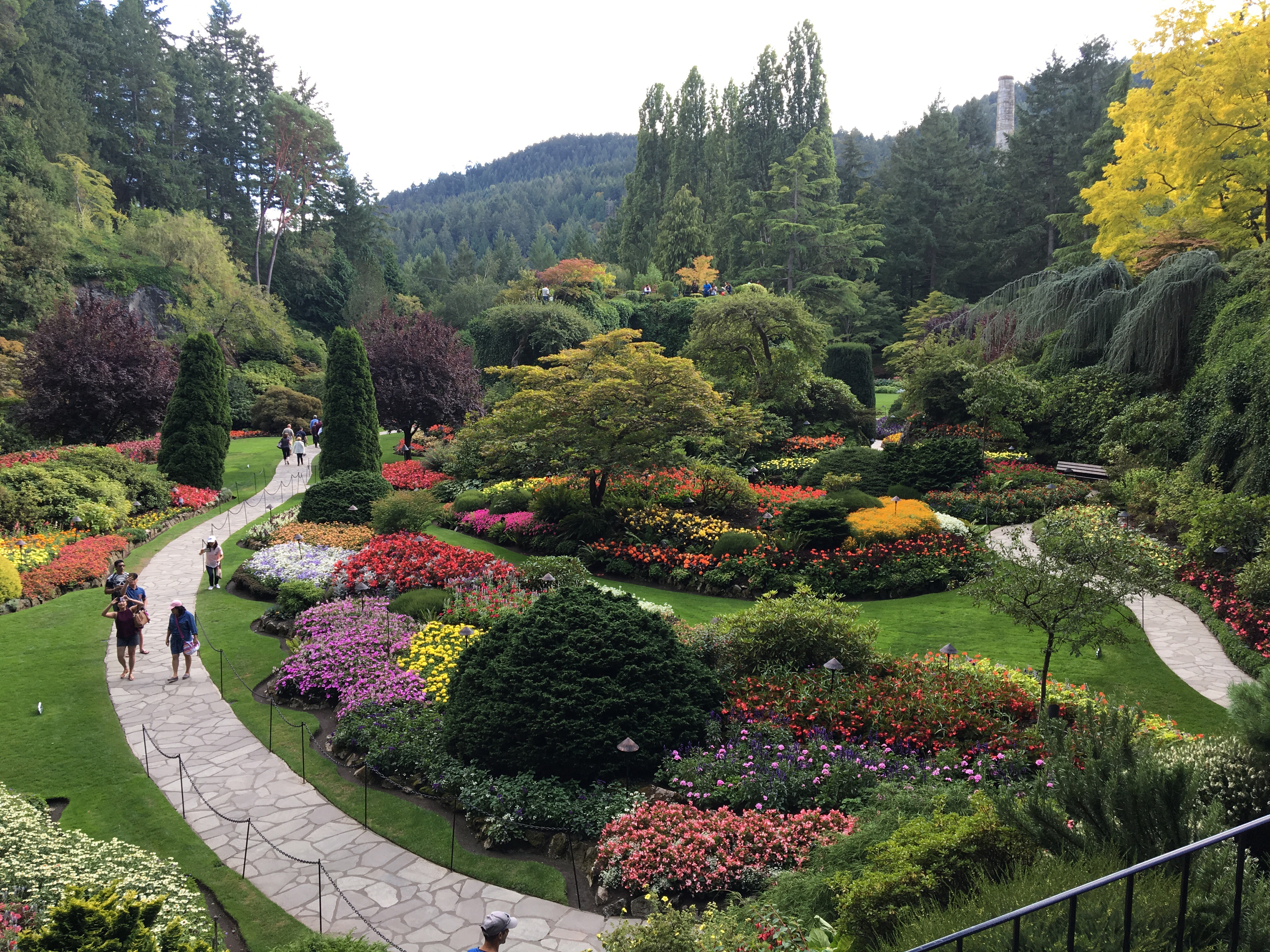 Butchart Gardens