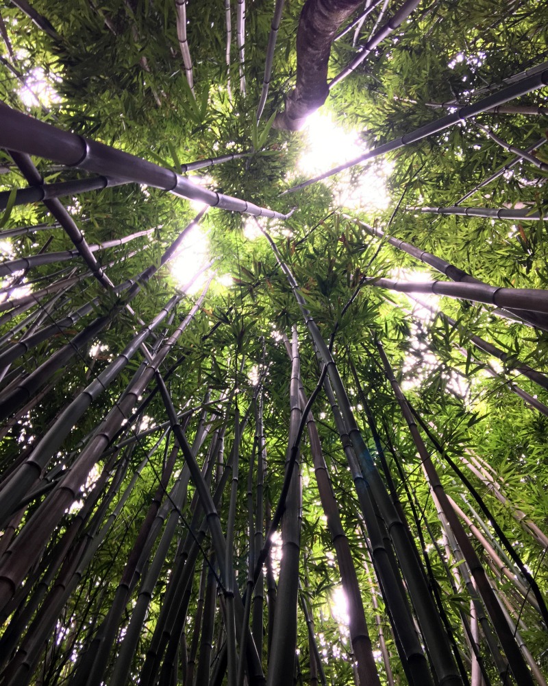 road to hana