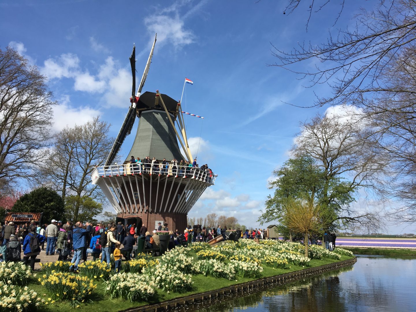 Keukenhof