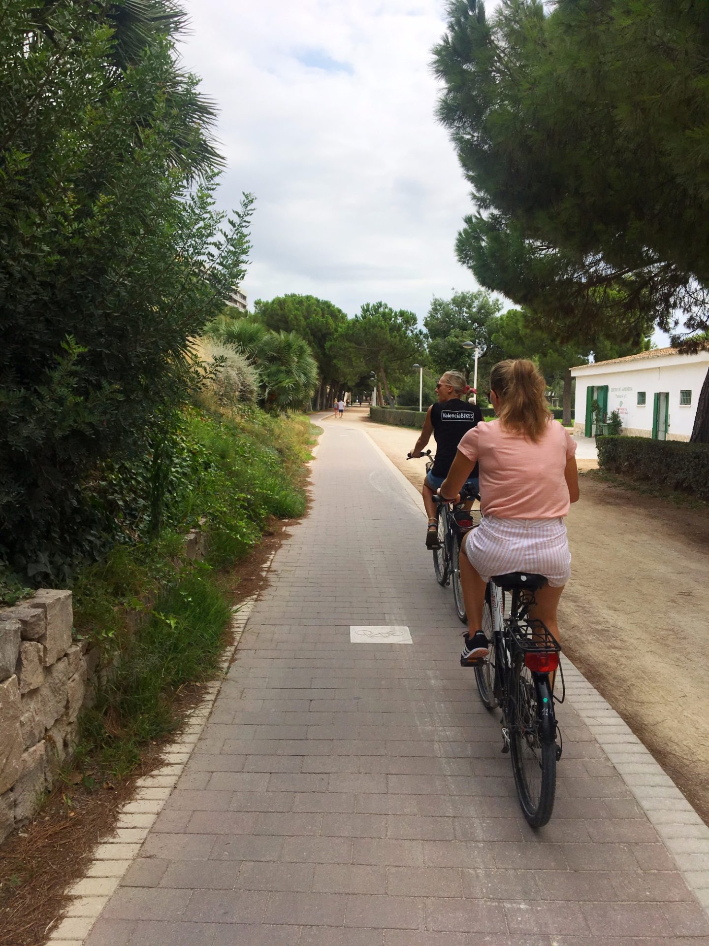 Explore Valencia with a bike tour